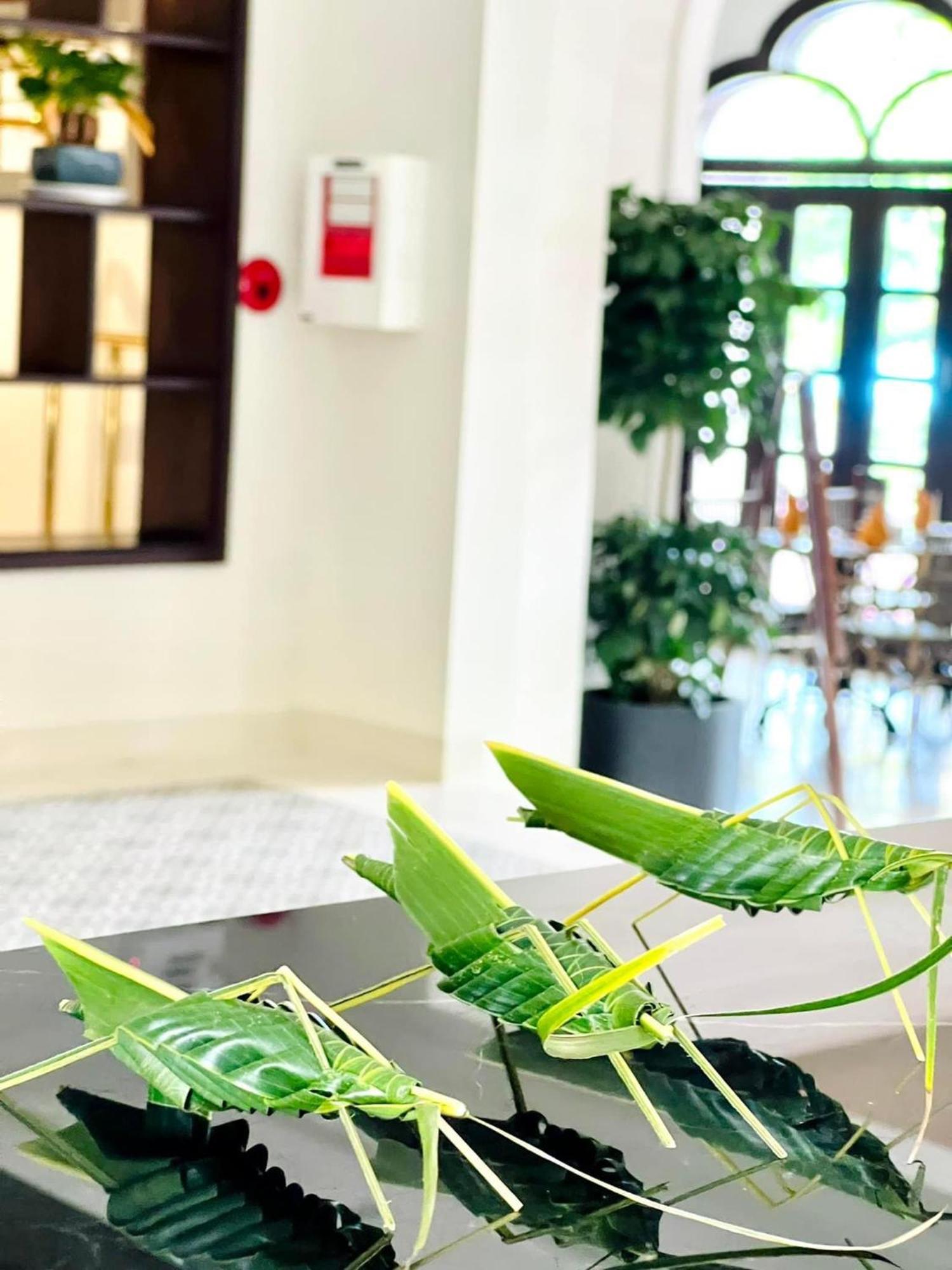 Little Residence - A Boutique Hotel & Spa Hoi An Zewnętrze zdjęcie